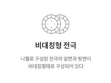 비대칭형 전극 구조